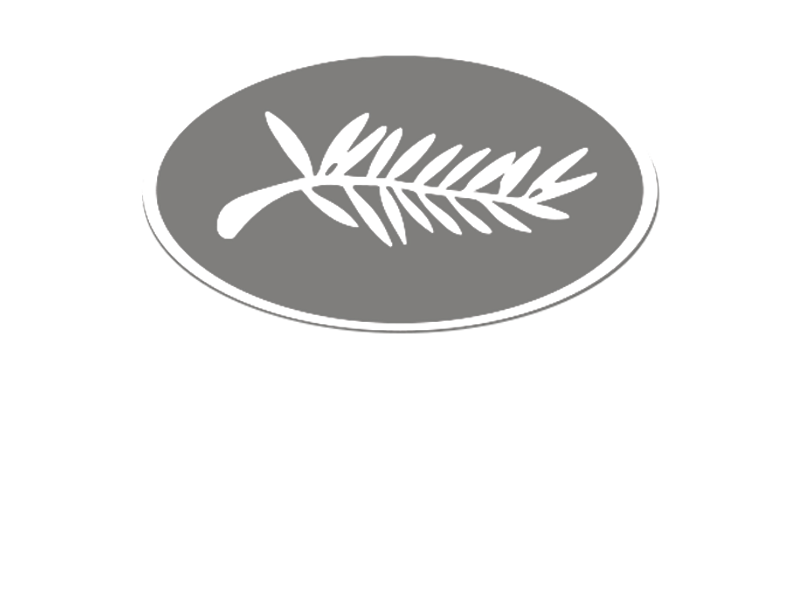 Festival de Cannes